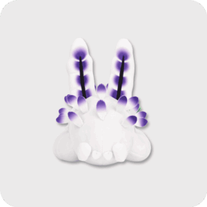 Deep Sea Bunny Plush