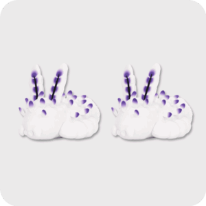 Deep Sea Bunny Plush 2PCS
